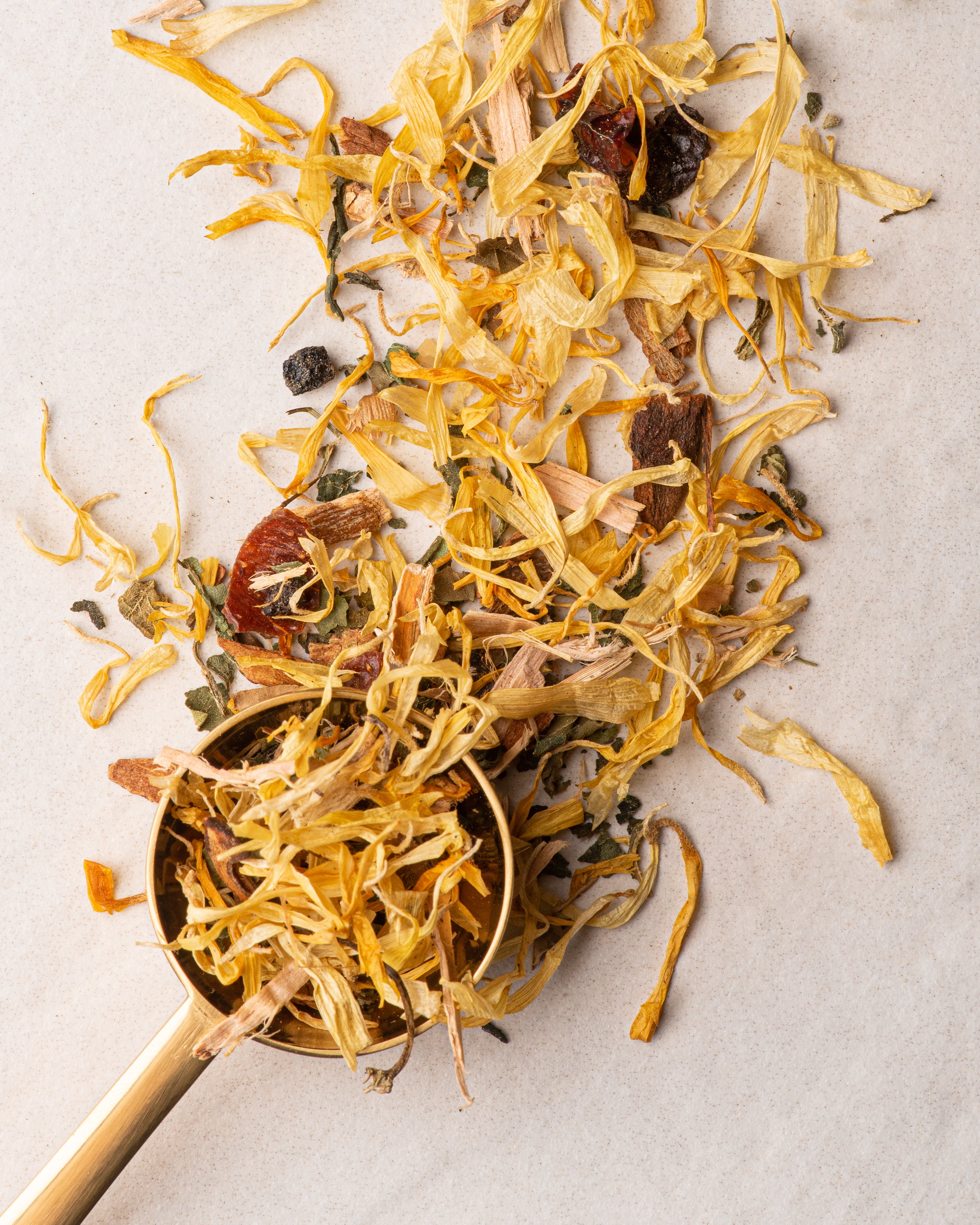 BetterTeaCo-22_c58ce661-d255-4dd0-93f9-3a3e4b91a82c.jpg
