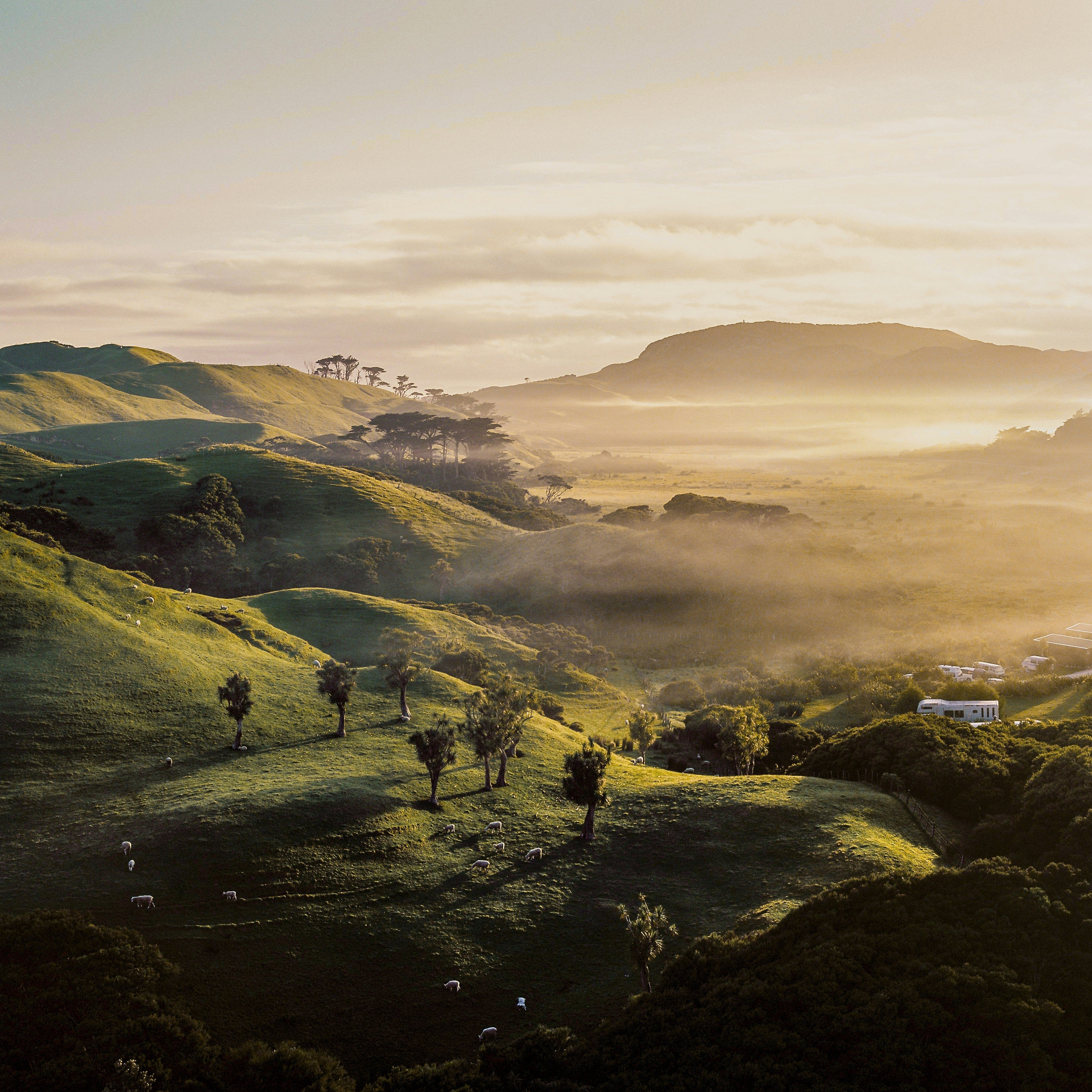 Creating a Morning Routine for Busy Days: A Moment Just for You